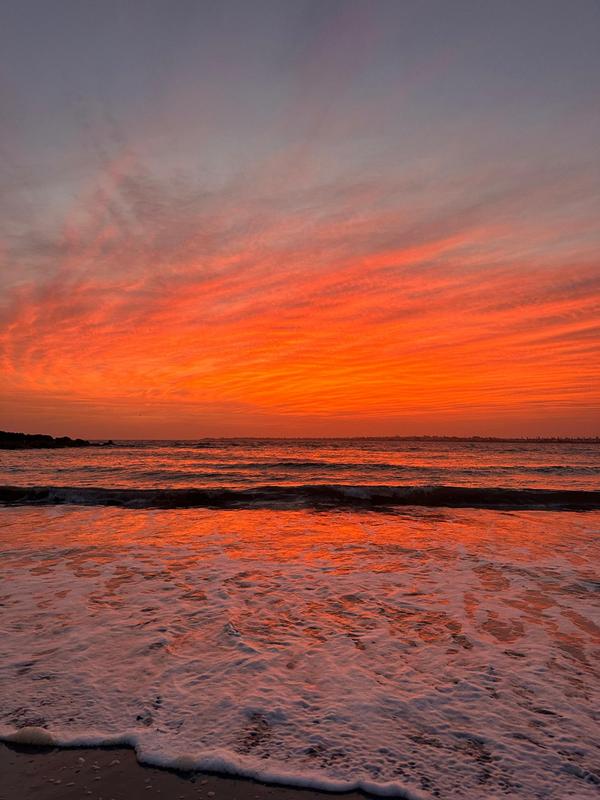 0 Bedroom Property for Sale in Harbour Lights Western Cape